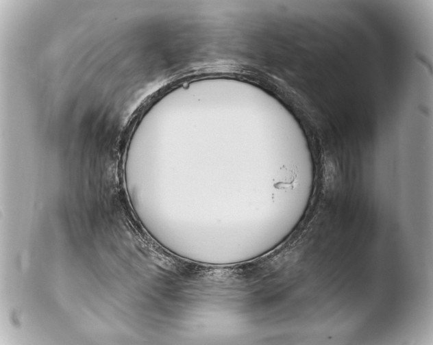 X0000103941166200810031315