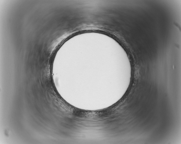 X0000103941167200810031315