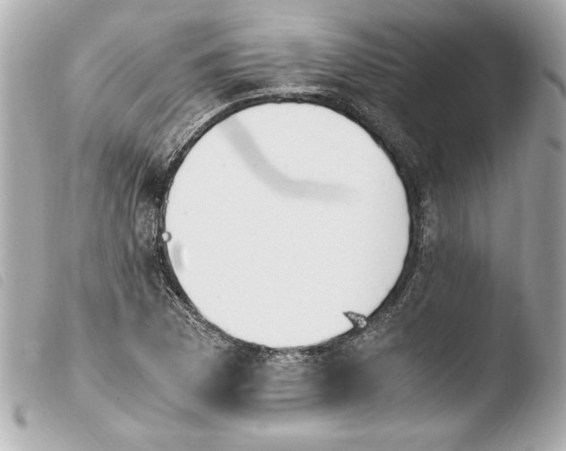 X0000103941169200810031315