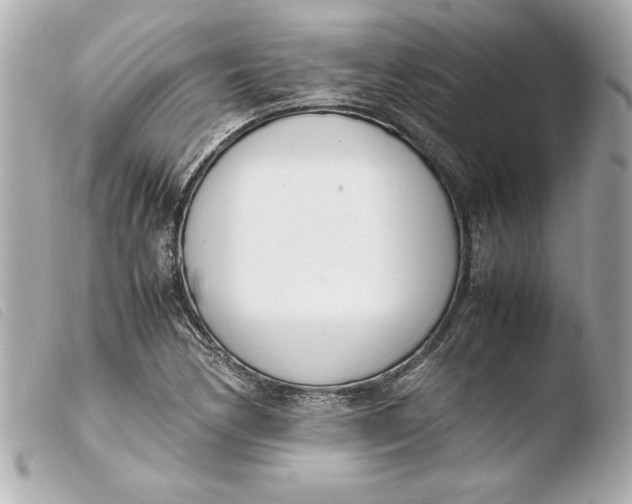 X0000103941170200810031315