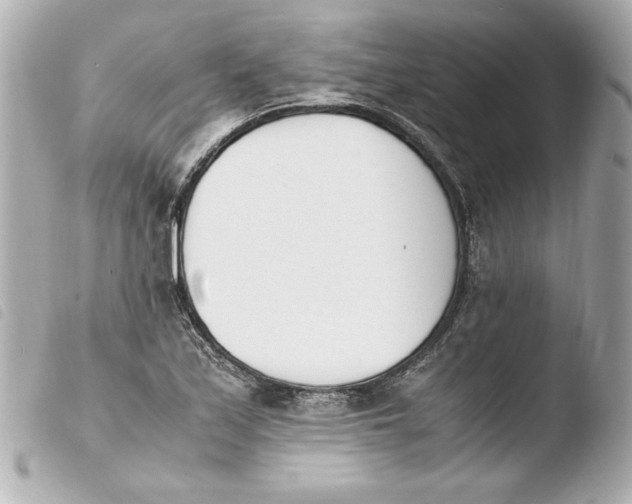 X0000103941171200810031315