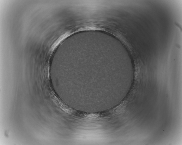 X0000103941173200810031315