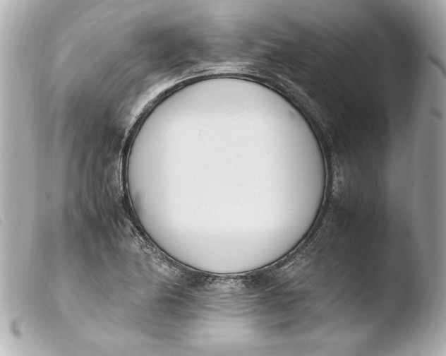 X0000103941174200810031315