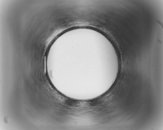 X0000103941175200810031315