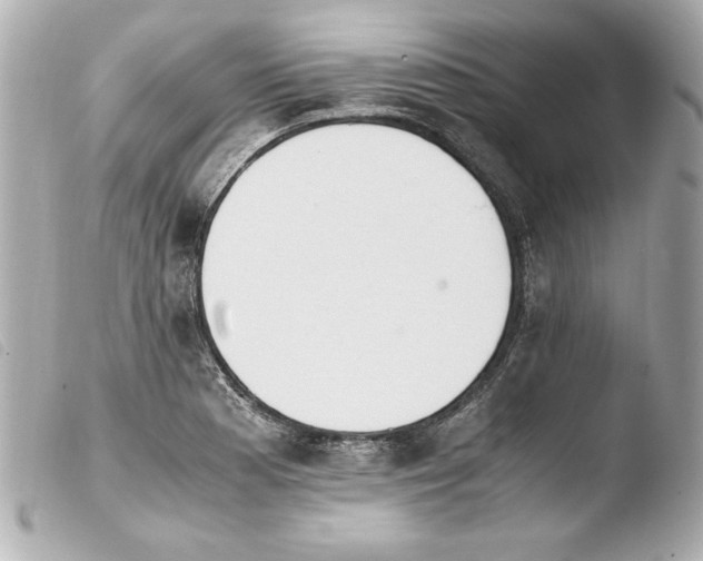 X0000103941177200810031315