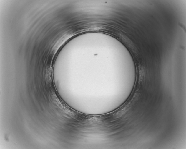 X0000103941178200810031315