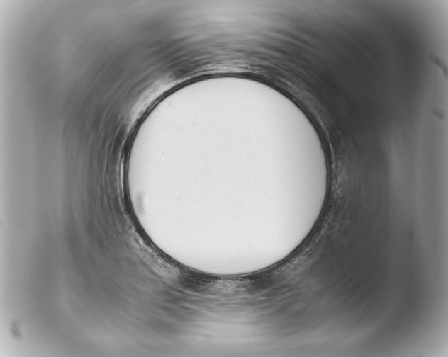 X0000103941179200810031315