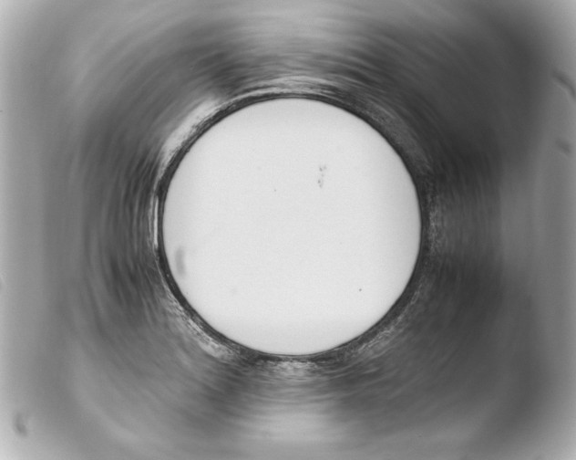 X0000103941180200810031315