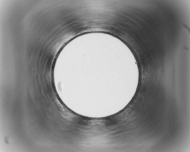 X0000103941181200810031315