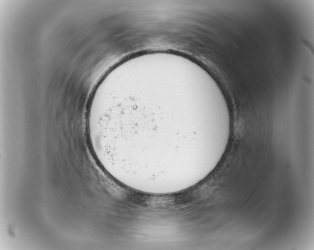 X0000103941183200810031315