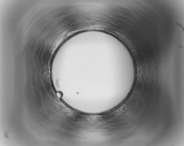 X0000103941184200810031315