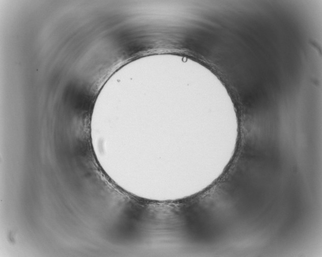 X0000103941185200810031315