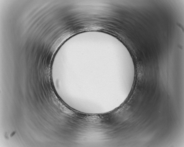 X0000103941186200810031315