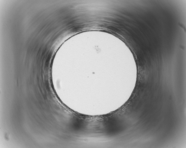 X0000103941187200810031315