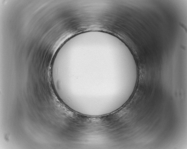 X0000103941190200810031315