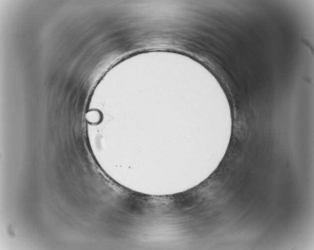 X0000103941191200810031315