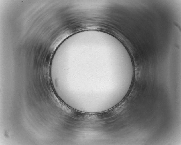 X0000103941194200810031315