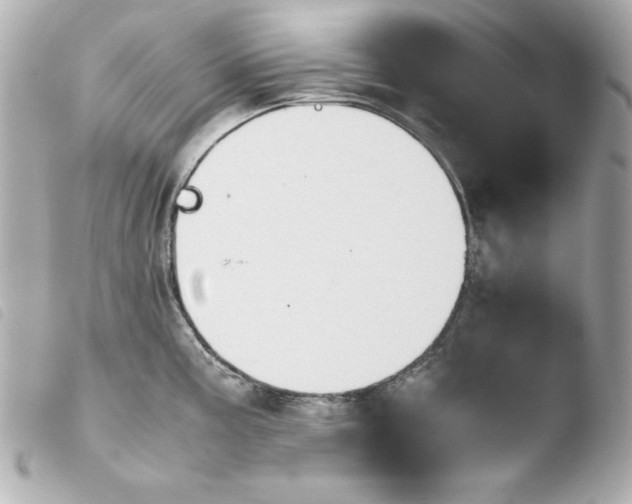 X0000103941195200810031315