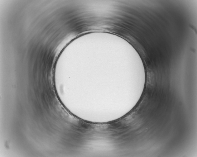 X0000103941196200810031315