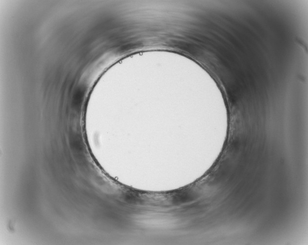 X0000103941197200810031315