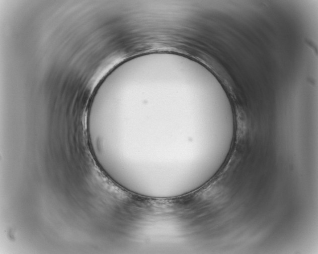 X0000103941198200810031315