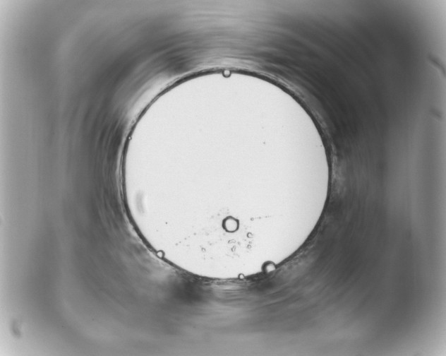 X0000103941199200810031315