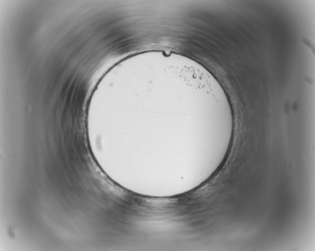 X0000103941200200810031315