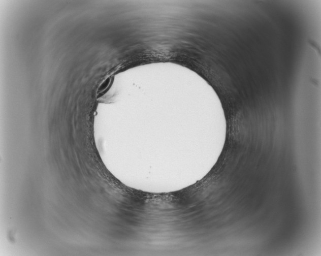 X0000103941201200810031314