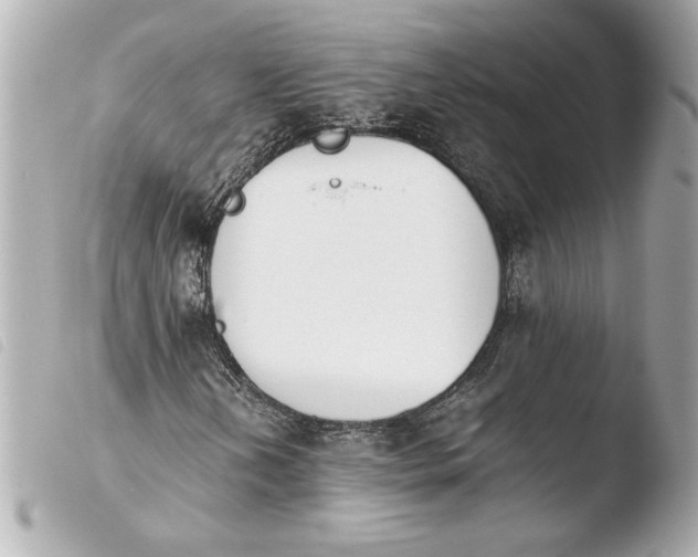 X0000103941202200810031314