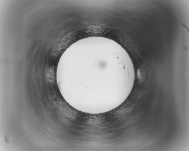 X0000103941203200810031314