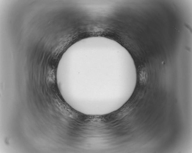 X0000103941204200810031314