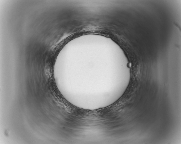 X0000103941206200810031314