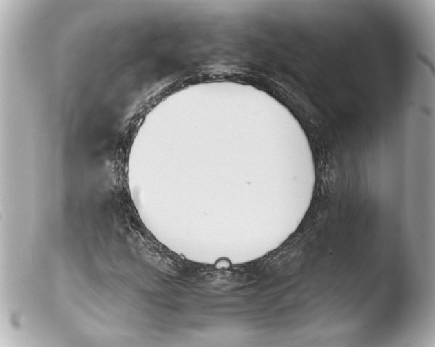 X0000103941207200810031314