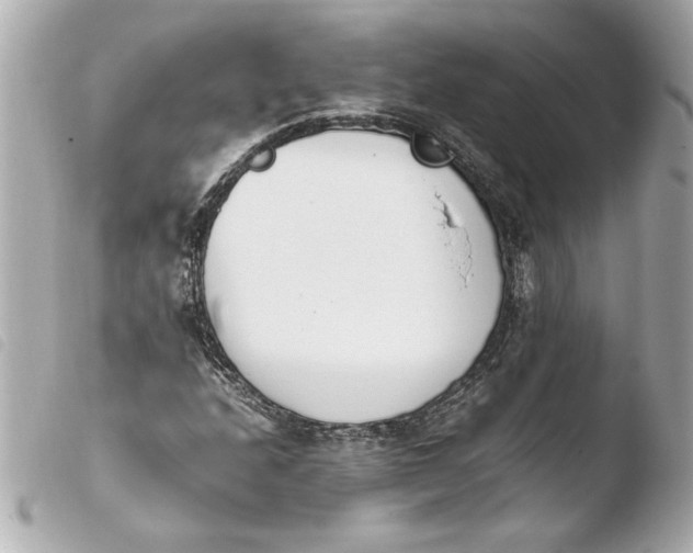 X0000103941208200810031314