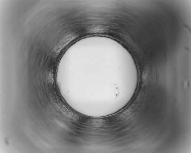 X0000103941209200810031314