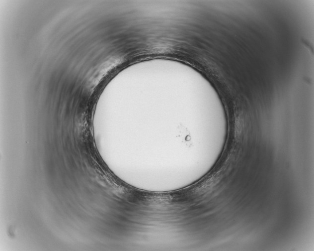 X0000103941210200810031314