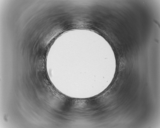 X0000103941211200810031314