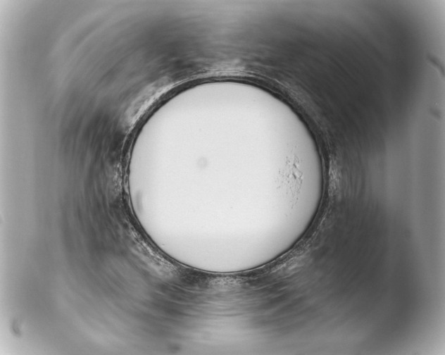 X0000103941212200810031314