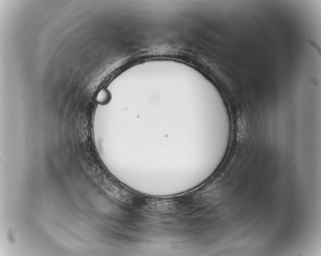 X0000103941213200810031314