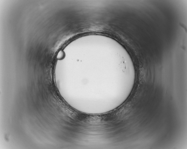 X0000103941214200810031314