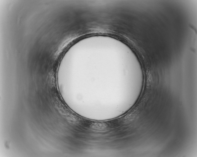 X0000103941215200810031314