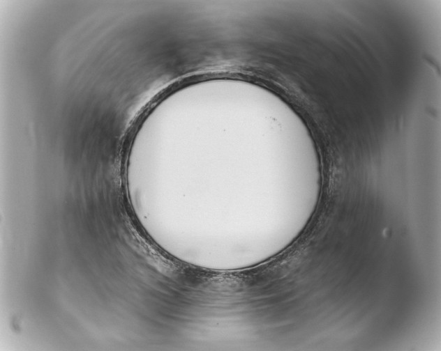 X0000103941216200810031314