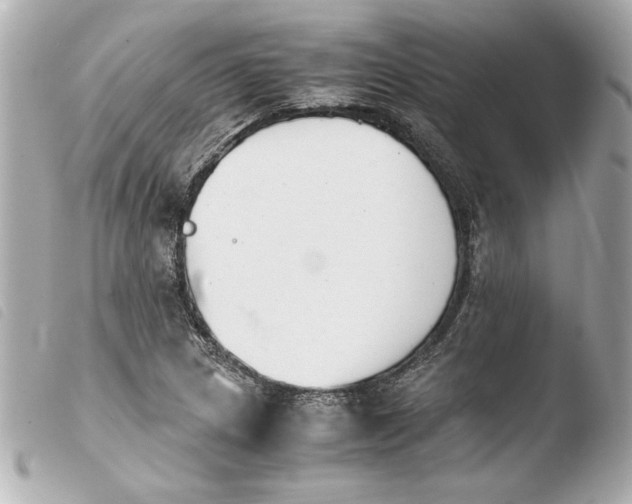 X0000103941217200810031314