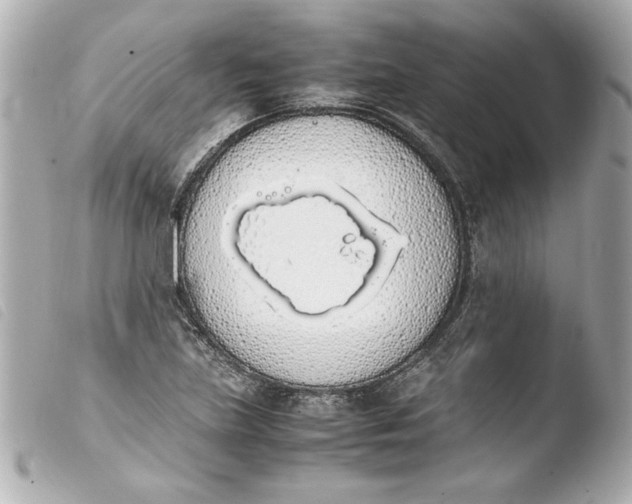 X0000103941219200810031314