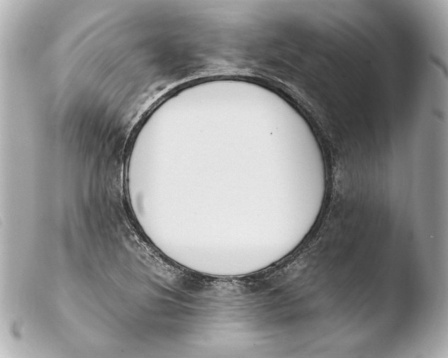 X0000103941220200810031314