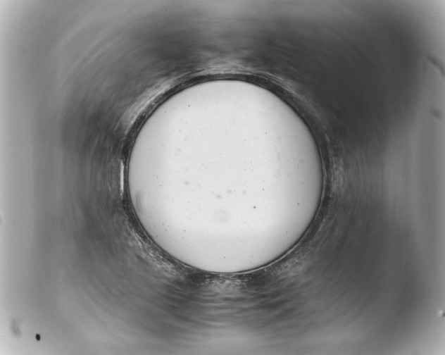 X0000103941221200810031314