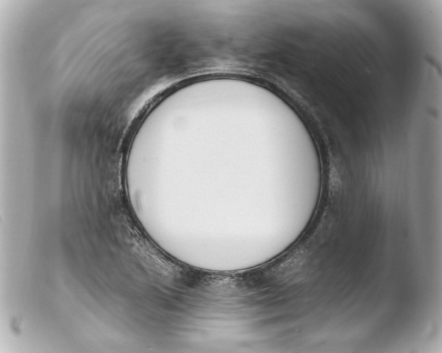 X0000103941222200810031314