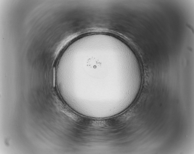 X0000103941223200810031314