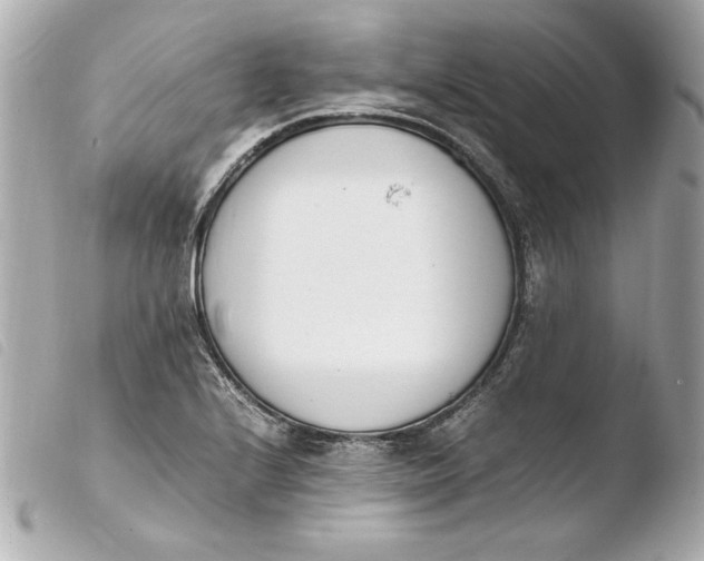 X0000103941224200810031314