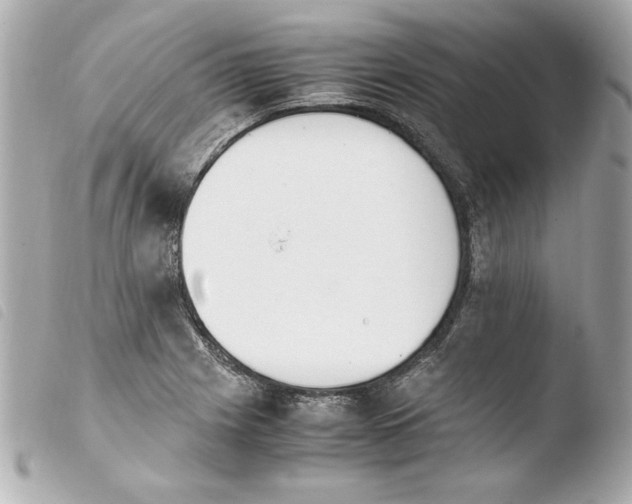 X0000103941225200810031314